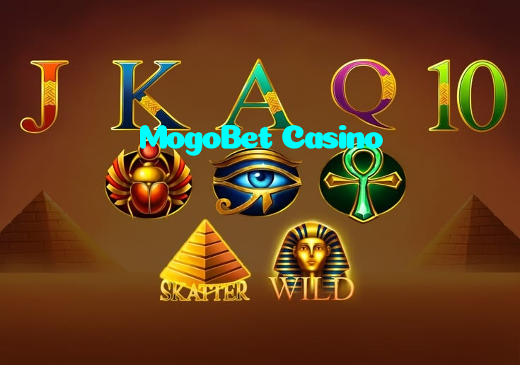 available types of MogoBet Casino bet including pre-match live express and system bets